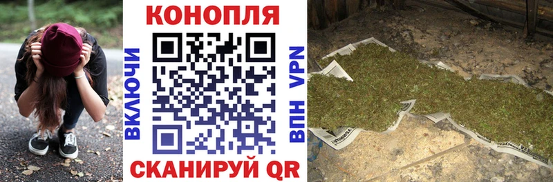 Купить где  Поворино  Бошки марихуана тримм 